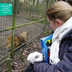 bozere leeuw - Scouts en Gidsen Zaventem 
